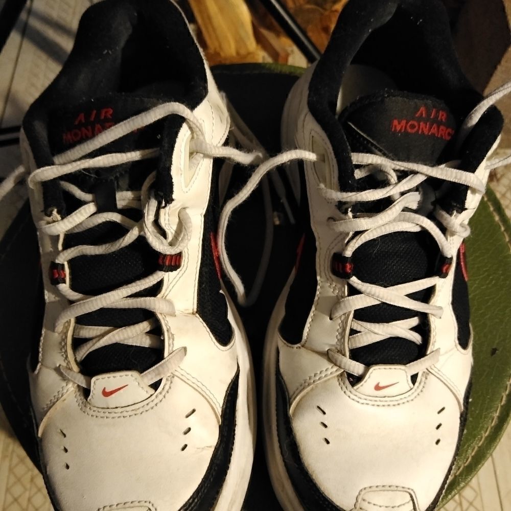 Nike Air Monarch shoes